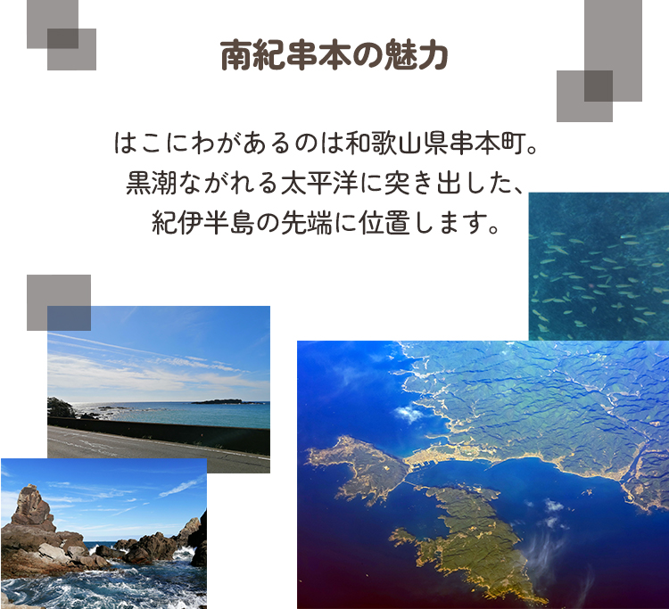 南紀串本の魅力 はこにわがあるのは和歌山県串本町。黒潮ながれる太平洋に突き出した、紀伊半島の先端に位置します。